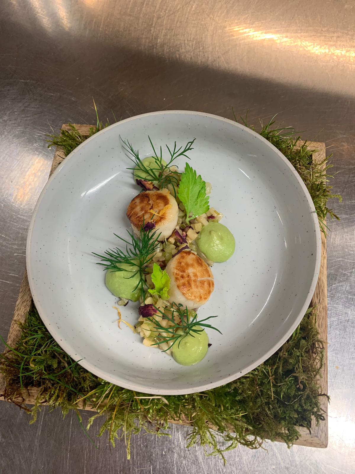 Gebratene Jakobsmuscheln mit Erbsen-Püree, Dill und Mikro-Kresse, präsentiert auf einem Moos-Brett