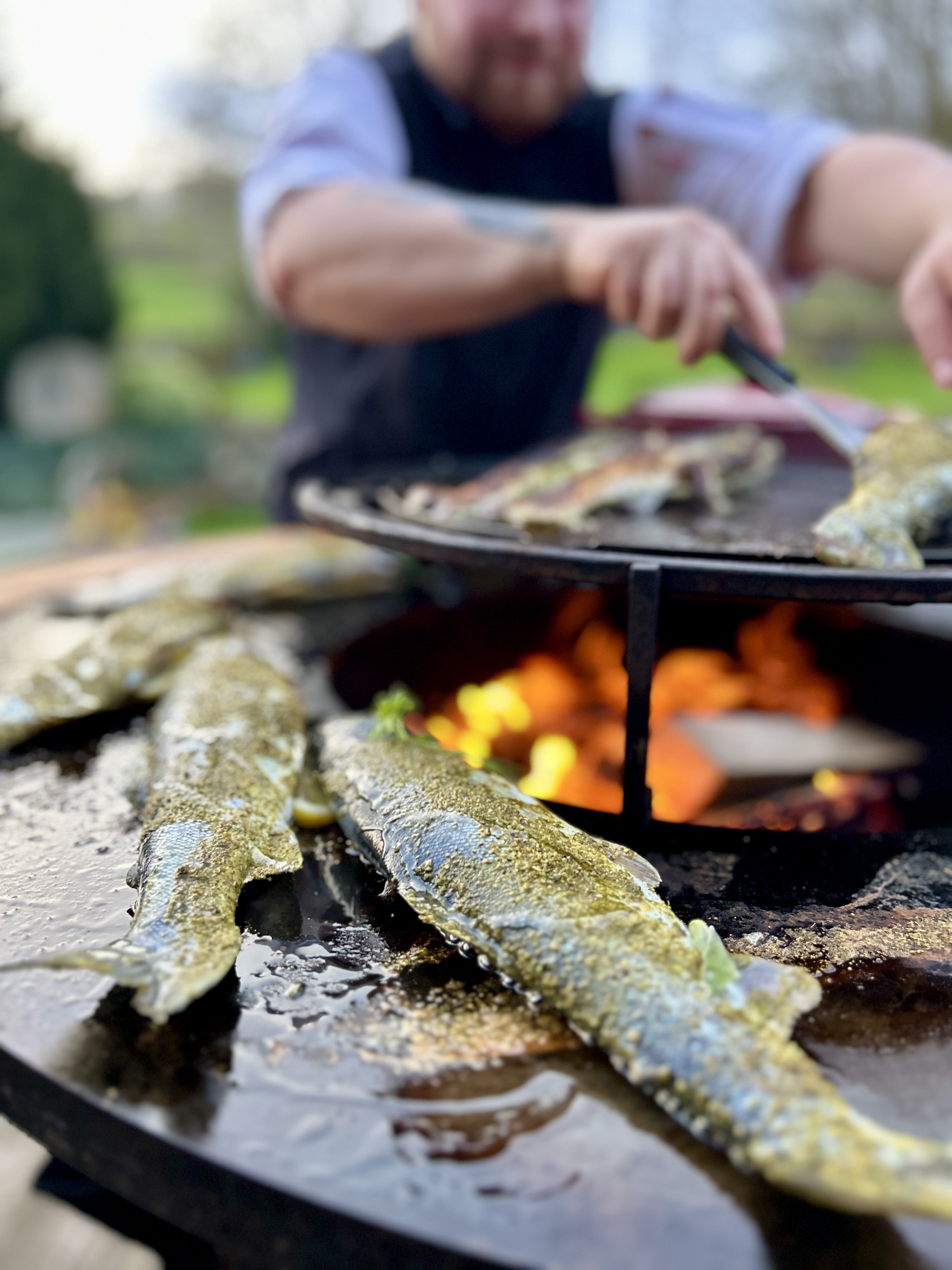 Mit Kräutern eingeriebene Forellen auf der Ofyr-Plancha, im Hintergrund glühende Kohlen