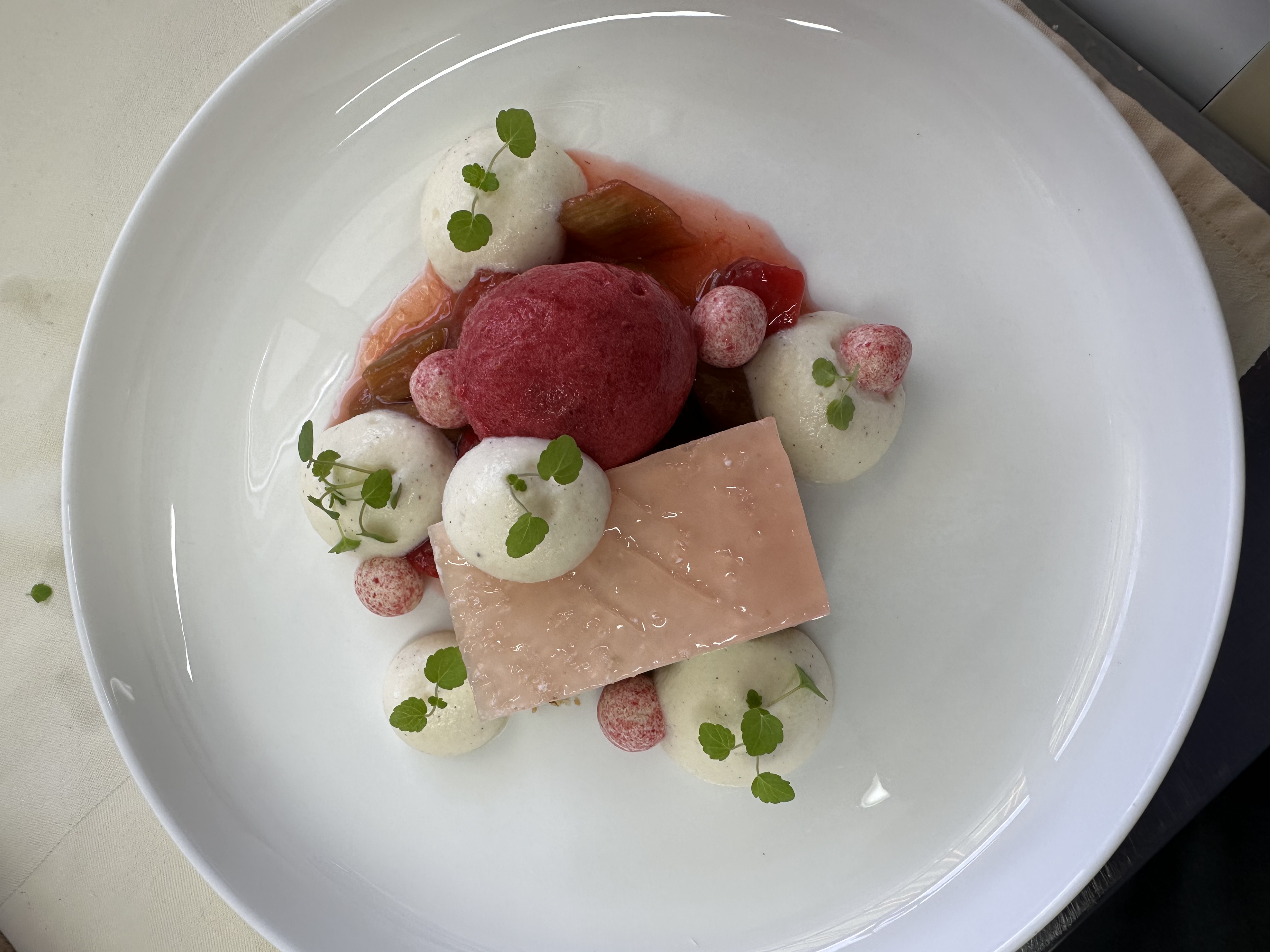 Erdbeer-Sorbet mit Rhabarber-Kompott, Vanille-Espuma und Joghurt-Tupfen — Frühsommer-Patisserie