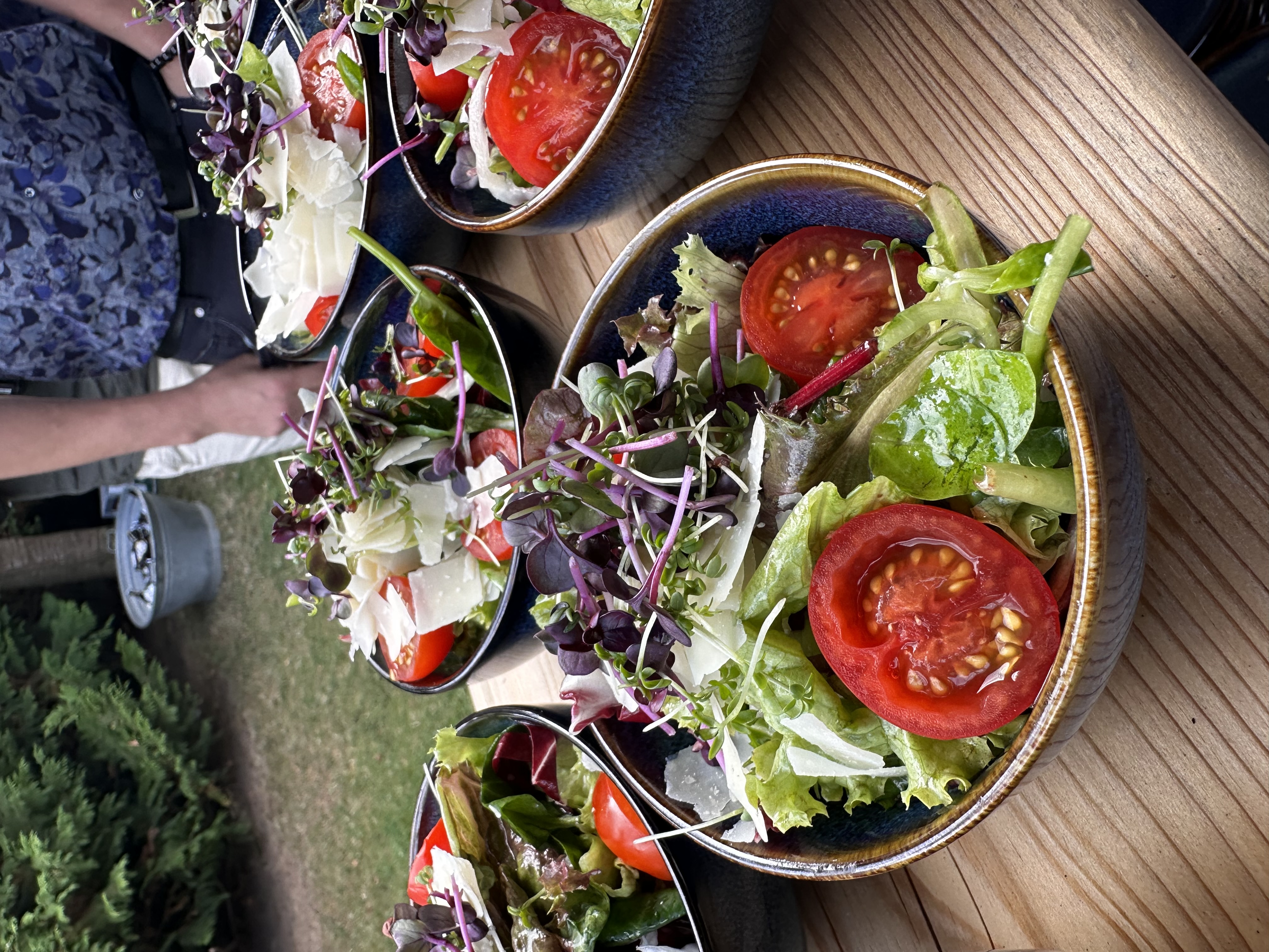Aufgereihte Schalen mit Frischsalat, Tomaten und Käse-Hobel auf rustikalem Holztisch